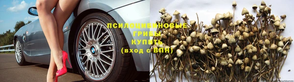 каннабис Волосово