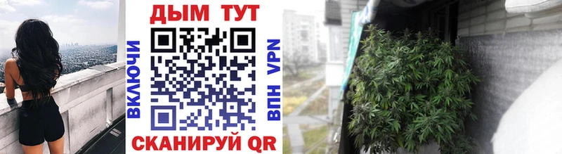 Купить  Гвардейск  Конопля SATIVA & INDICA 